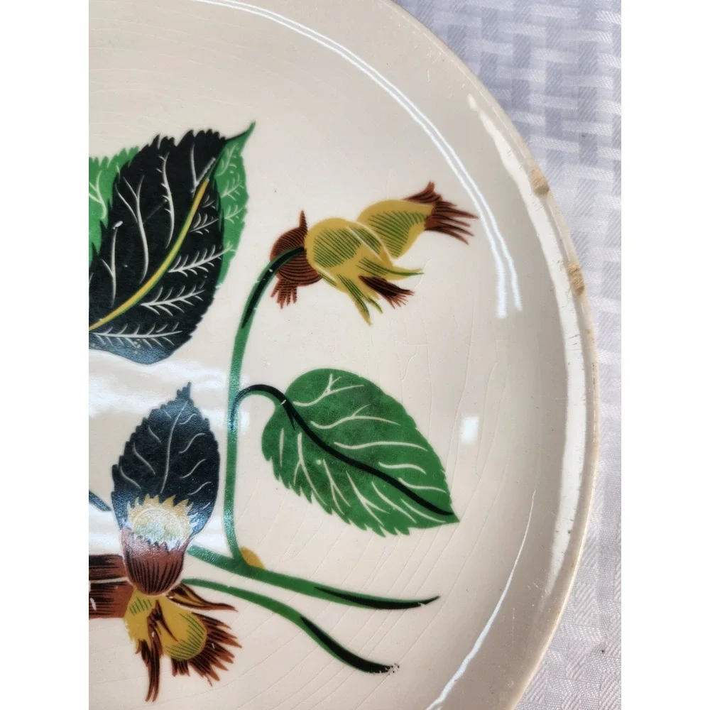 Ballerina China Hazelnut Potteries Leaves & Nuts Set of 8 Dinner Plates